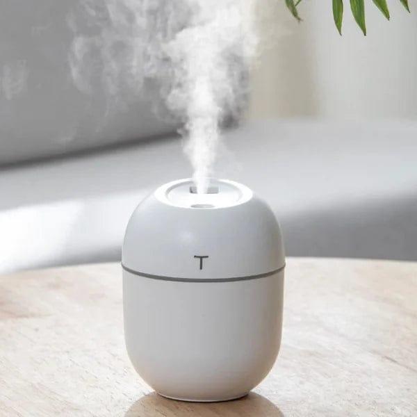 Mini USB Air Humidifier – Portable Mist Diffuser | Home Decor & Air Moisturizer Pakistan